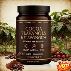 1PCS High Flavanol Cocoa Powder Flavonoids Supplements Energy Boost 1200mg US
