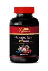 antioxidant capsules – Mangosteen Extract – anti inflammatory 1B