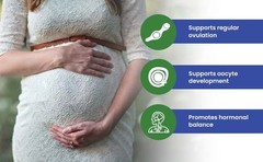 America Medic Science OVA-Max Prenatal Vitamins for Women 120 Capsules Boost…