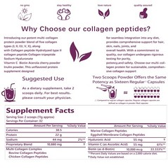 Hydrolyzed I,II,III,V,X Peptide Type lb Multi Collagen Peptides Powder 2 Protein