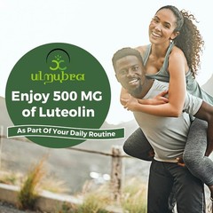 Liposomal Luteolin 500MG – Maximum Absorption Flavonoid Supplement, 60 Softgels,