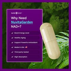 Anti Aging NAD Supplement Extra Strength 1119mg + NR, Green TeaAstaxanthin