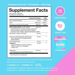 Obvi Burn Bundle – 24-Hour Support System with 5 Types of Collagen for Wel