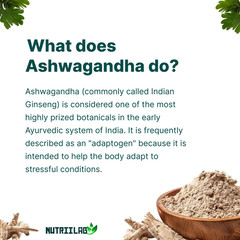 NutriiLab Organic Ashwagandha 650mg Black Pepper Stress Relief Sleep Energy Caps