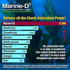 Marine Essentials | Marine-D3 | Anti-Aging | Omega-3 | 1 Bottle (60 Capsules)