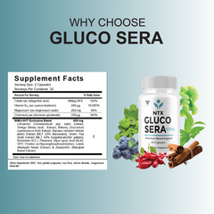 (5 Pack) NTX Gluco Sera Blood Support, NTX GlucoSera Advanced (300 Capsules)