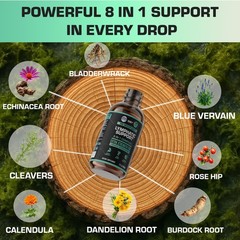 Lymphatic Drainage Drops for Liver Detox & Immune Support – Lymph System Supp…