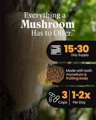 Organic Lion’s Mane & Reishi Capsules – 90 Capsules for Mental Clarity