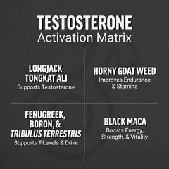 Delicious Berry Punch Testosterone Gummies – 60 Count for Men’s Vitality Support