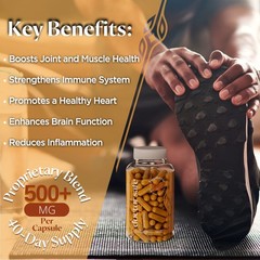 Turmeric Curcumin with 95% Curcuminoids and BioPerine Black Pepper | 1500mg |…