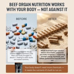 FORGEBODY® Beef Organ Complex Capsules [1 ] – 1 Count (Pack of 1), Brown