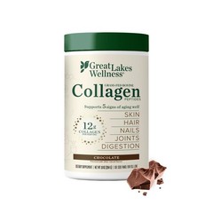 Great Lakes Wellness Collagen Peptides Powder 10 Ounce (Pack of 1), No Color