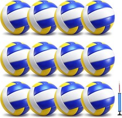 Regulation Size Volleyball for Indoor and Outdoor Play