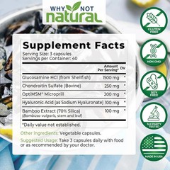 Why Not Natural Glucosamine Chondroitin MSM Joint Support Supplements – 120 Caps