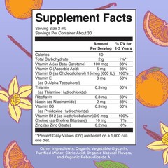 MaryRuth’s Toddler Multivitamin | Vitamin A C D E B6 B12 2 Fl Oz (Pack of 1)