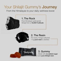Be Bodywise Pure Himalayan Shilajit Gummies Gold I Lab Tested I No Added Suga…