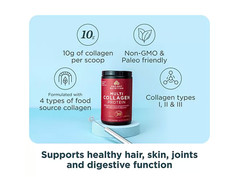 Ancient Nutrition Multi Collagen Protein 45 Servings