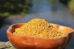 Fresh Bee Pollen Pure Raw Natural Nebraska Bee Pollen 1.5lb Jar