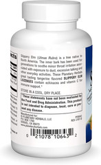 Slippery Elm Lozenges, 100 Count