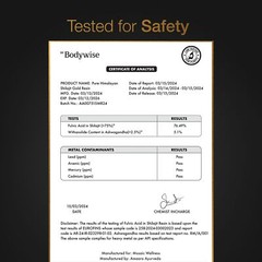 Be Bodywise Pure Himalayan Shilajit Gummies Gold I Lab Tested I No Added Suga…