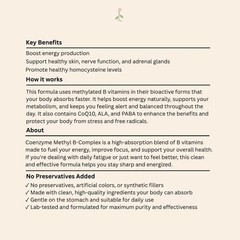 High Absorption Methylated B Complex Vitamins Natural Energy Boost Supplement