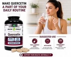 Quercetin 500mg 360 Veggie Capsules 3 Pack Immune Support Non GMO