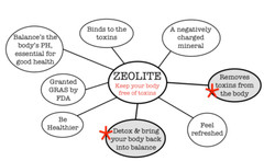 9-pak Liquid Zeolite with DHQ Humic Acid Fulvic Acid nano zeolite detox EXP2026