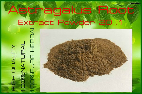High Quality!! Astragalus Extract Powder 20:1 500 grams*!^!