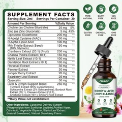 Kidney & Liver Detox Drops – Liposomal Support with Glutathione, NAC, Cranberry,