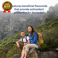Turmeric Curcumin 500Mg Standarized to 95% Cucuminoids Herbal Dietary Supplement
