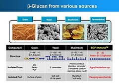 Glucan Elite – 1,3D Beta Glucan 85% 60 caps (30 servings)