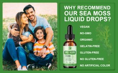5-Pack Sea Moss Liquid Drops 10000mg – Organic Bladderwrack, USA Made, 2 fl oz