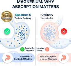 Spectrum 5 Magnesium Complex 500mg 5-in-1 Glycinate Citrate Malate 72 Minerals