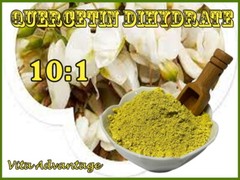 Vita Advantage 10X Maximum Strength Pure 10:1 Quercetin Dihydrate Powder, 1LB