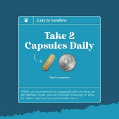 Nootropic Brain Supplement for Memory & Focus – Bacopa Monnieri 60 Capsules