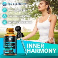 KEY ELEMENTS Liquid GABA with L Theanine Supplement | 2 Fl Oz (Pack of 1)