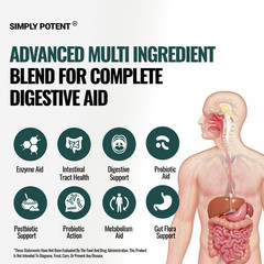 Probiotic Prebiotic & Postbiotic + Digestive Enzymes for Gut Health & Bloating