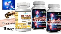 2 Glucosamine & Chondroitin MSM Bee Therapy Osteo Forte Miracle Joint Cartilage