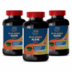 weight loss meal replacement shakes – ORGANIC BLUE GREEN ALGAE 500MG 3B – spirul
