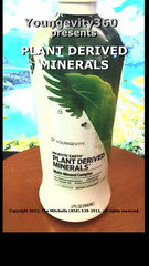 Youngevity360 Plant Derived Minerals Wallach, Ships Free 100% Forever Guarantee