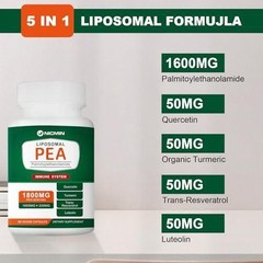 Nicmin 1600mg Palmitoylethanolamide 99% with Luteolin and Quercetin, High Pea 60