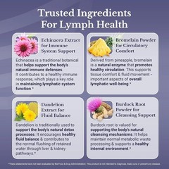 5x Nation Health Lymph MD Lymphatic Drainage Supplement Lymph System Health-