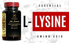 L-LYSINE 500 AMINO ACID – Lysine Supplement Supports Healthy Lip and Oral Tissue