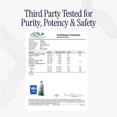 Rho Nutrition Liposomal Glutathione – Ultra High Absorption Liquid Glutathion…