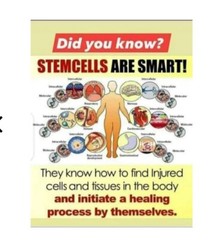 Mirra-cell+ Revoobit nutrition