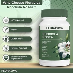 3-Pack Rhodiola Rosea Capsules – Floraviva for Energy, Focus, Mood -120 Capsules