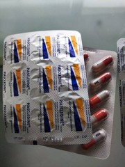 3X Piascledine 300mg 30s Anti-Rheumatic Joint & Osteoarthritis Relief ✅FREE SHIP