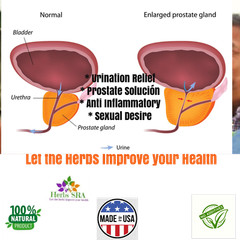 SAW PALMETTO, BETA SITOSTEROL, Healthy Prostate Supplement 120 Capsules Virility
