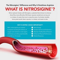 Natural Nitric Oxide Booster for Men & Women – Blood Flow & Circulation Support
