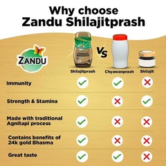 Zandu Shilajitprash Ayurvedic Strength Stamina Immunity Chyawanprash Blend 450g
